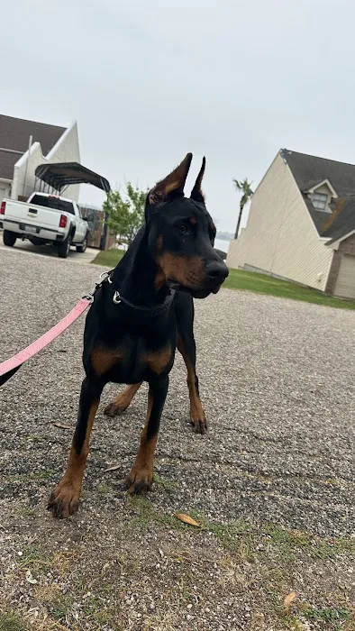 Briarcrest Veterinary Clinic 12