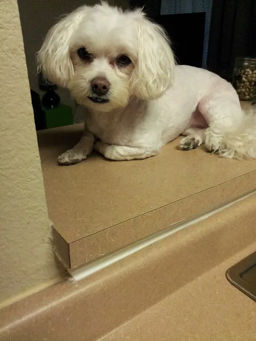 Briarcrest Veterinary Clinic 12