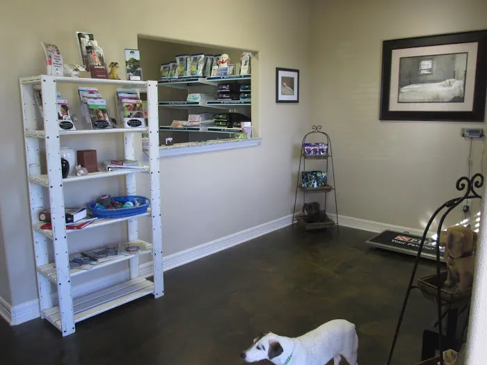 Lovan Care Veterinary Hospital 12