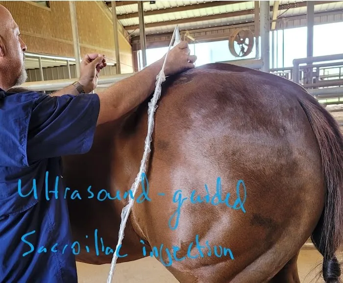 Equine Spine and Joint Care 12