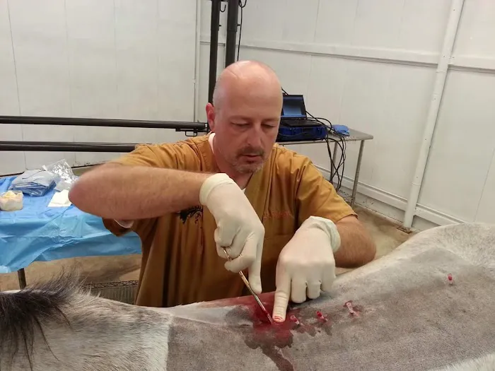 Equine Spine and Joint Care 12