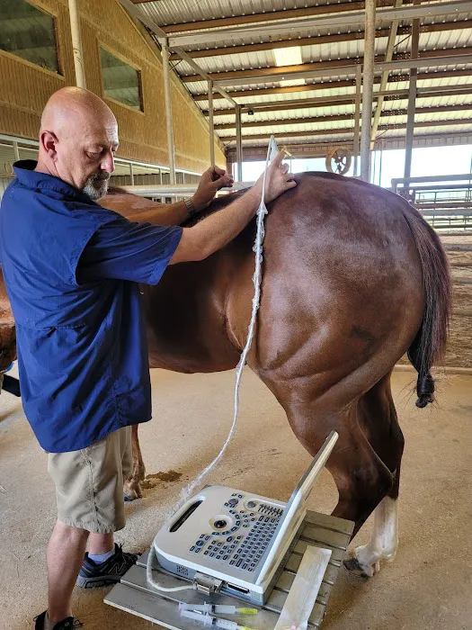Equine Spine and Joint Care 12