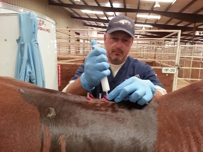 Equine Spine and Joint Care 12