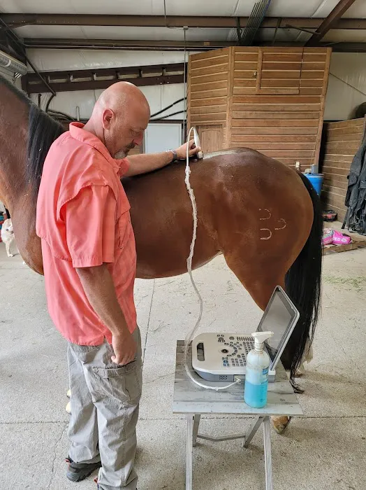 Equine Spine and Joint Care 12