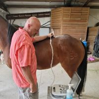 Equine Spine and Joint Care ico