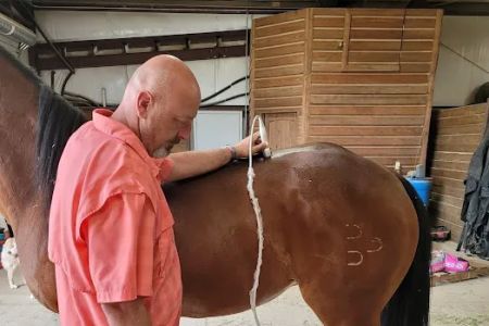 Equine Spine and Joint Care