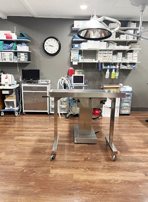 Kingdom Animal Hospital 12