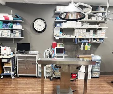 Kingdom Animal Hospital