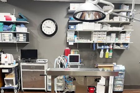 Kingdom Animal Hospital