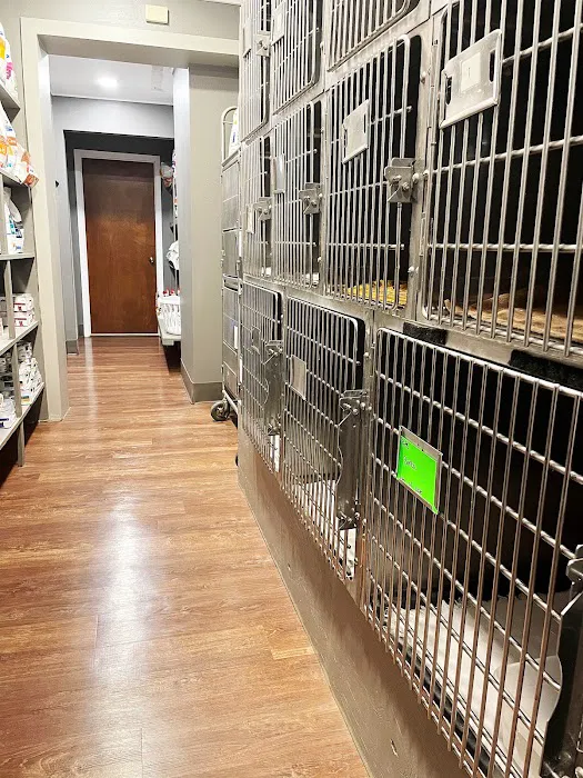 Kingdom Animal Hospital 12