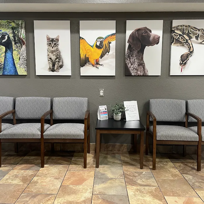 Kingdom Animal Hospital 12