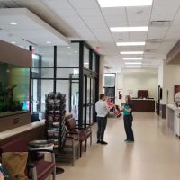 Veterinary Small Animal Hospital (VSAH) ico