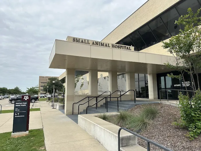 Veterinary Small Animal Hospital (VSAH) 12