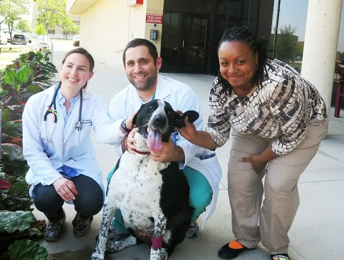 Veterinary Small Animal Hospital (VSAH) 12