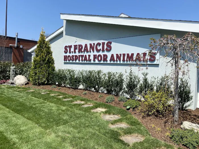 St. Francis Hospital for Animals 12