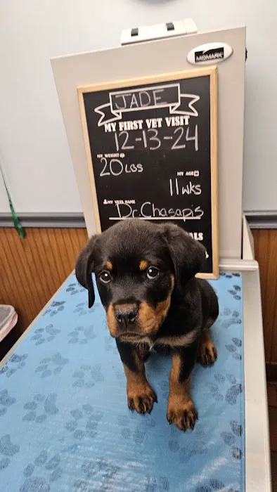 St. Francis Hospital for Animals 12