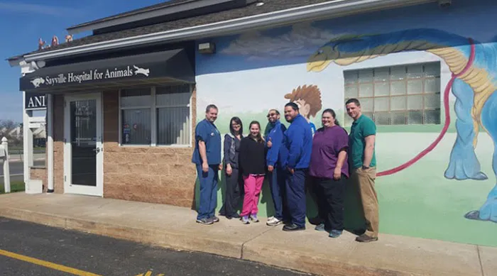 Sayville Animal Hospital 12