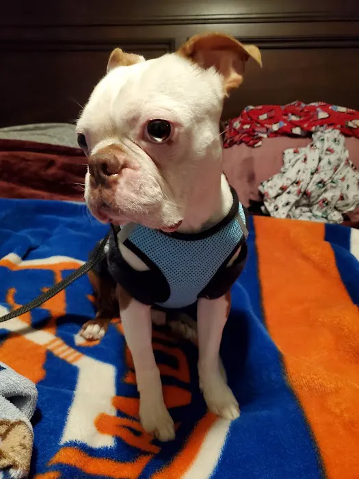 Sayville Animal Hospital 12