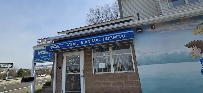 Sayville Animal Hospital 12