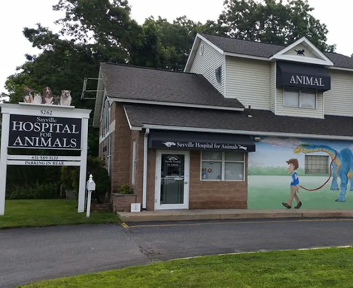 Sayville Animal Hospital 12
