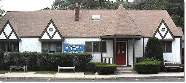 Sachem Animal Hospital 3