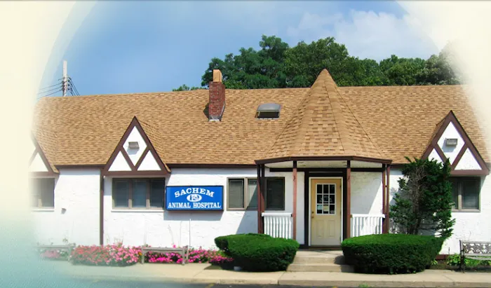 Sachem Animal Hospital 10