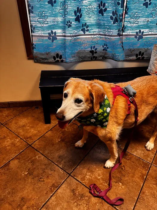 Grady Animal Hospital 12