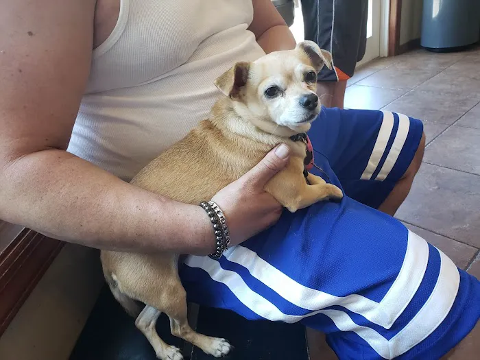 Grady Animal Hospital 12
