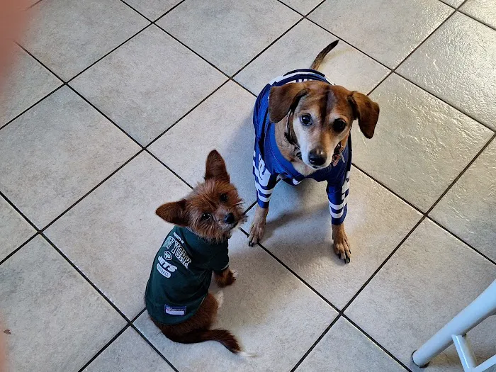 Grady Animal Hospital 12