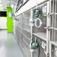 Pet ER ico
