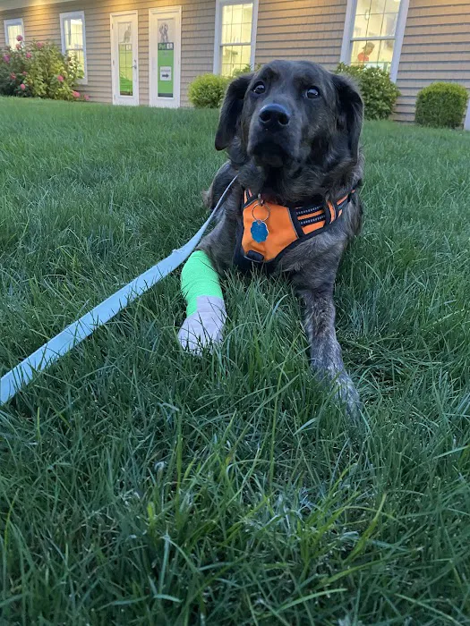 Pet ER 8