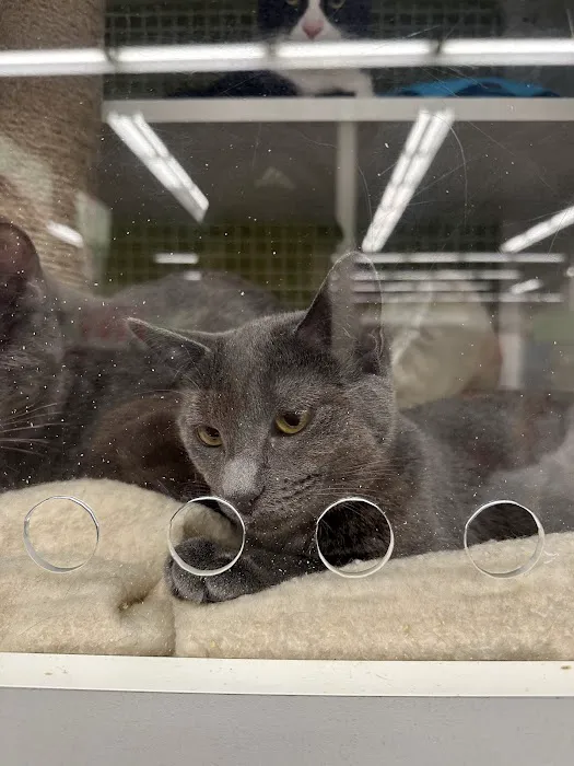 Petco 8
