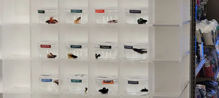 Petco 3