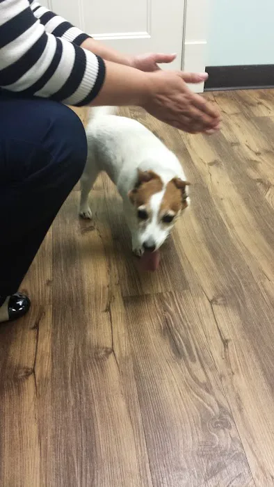 Animal Health & Wellness Veterinary Office 1