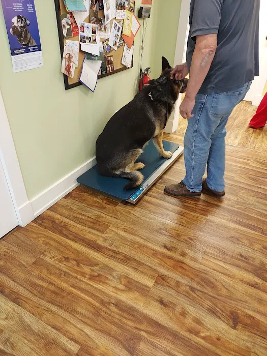 Animal Health & Wellness Veterinary Office 7