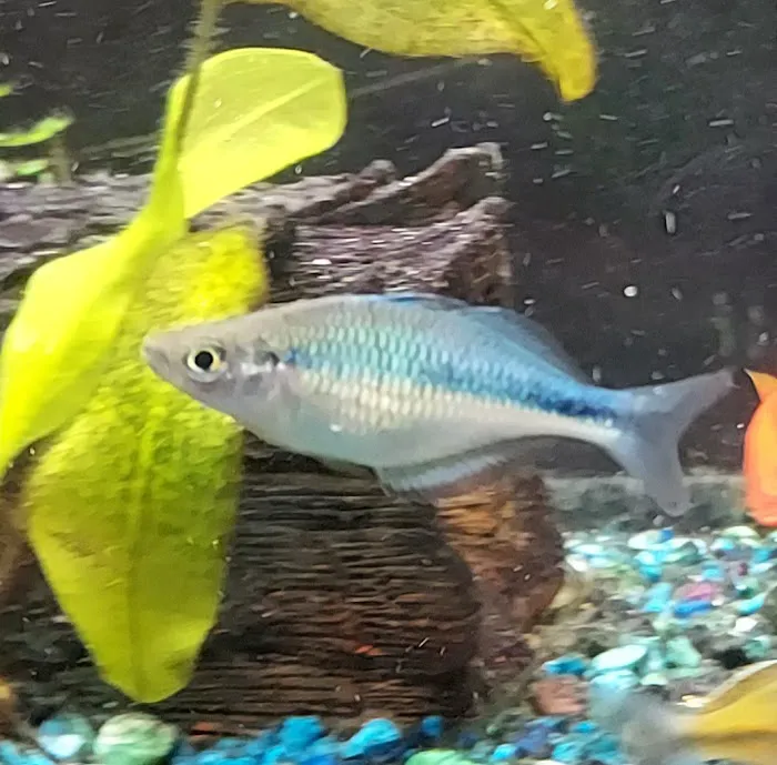 Fish Locker 5