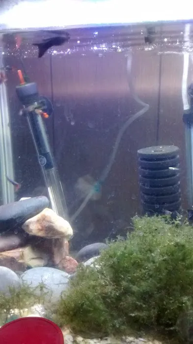 Fish Locker 1