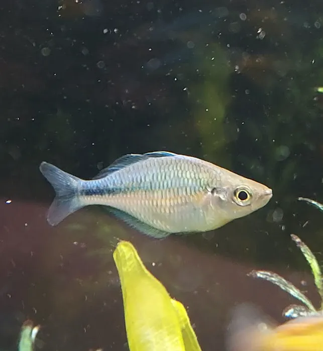 Fish Locker 2