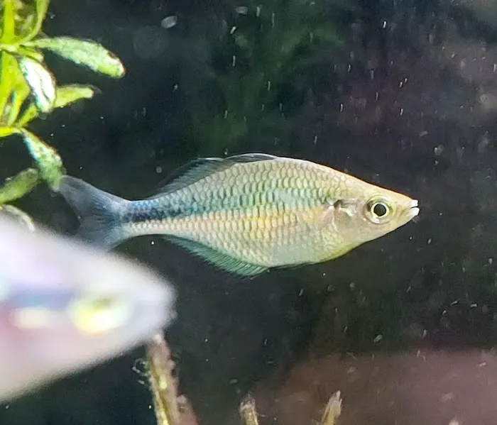 Fish Locker 3
