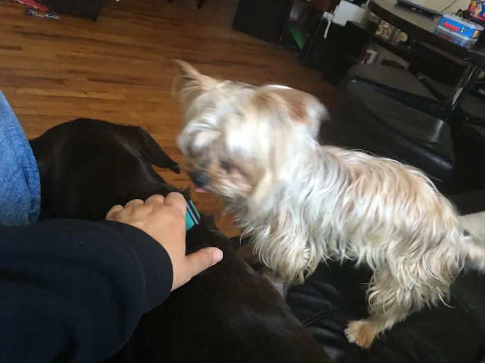 Countryside Animal Hospital 9