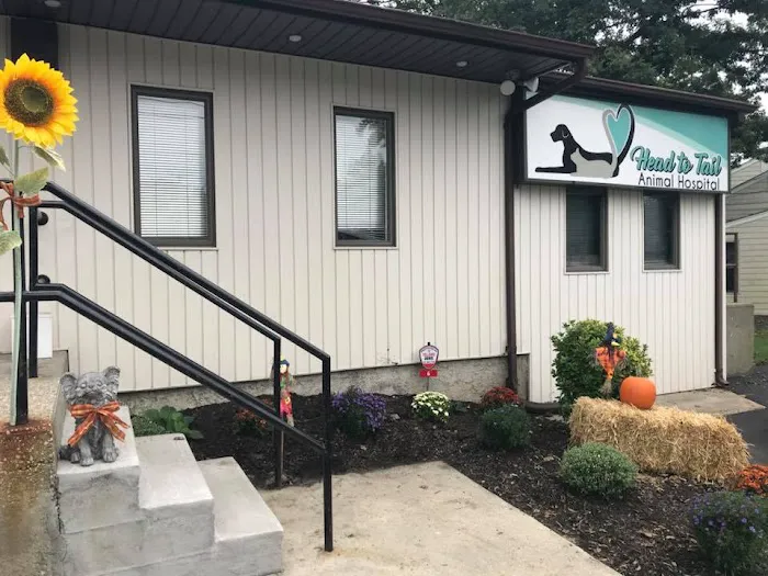 Head To Tail Animal Hospital 1