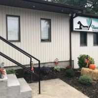 Head To Tail Animal Hospital ico