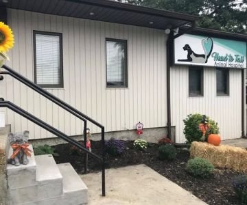Head To Tail Animal Hospital