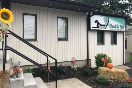 Head To Tail Animal Hospital