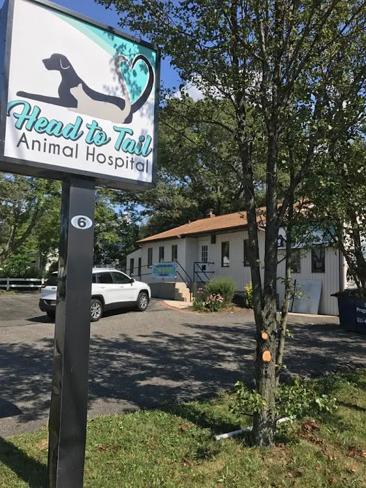Head To Tail Animal Hospital 8