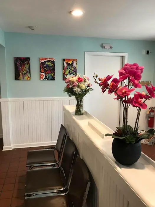 Head To Tail Animal Hospital 4