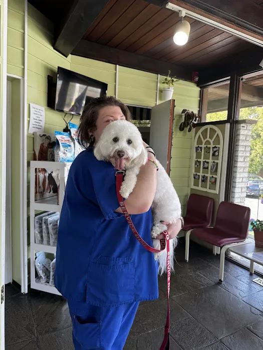 Jefferson Animal Hospital 5