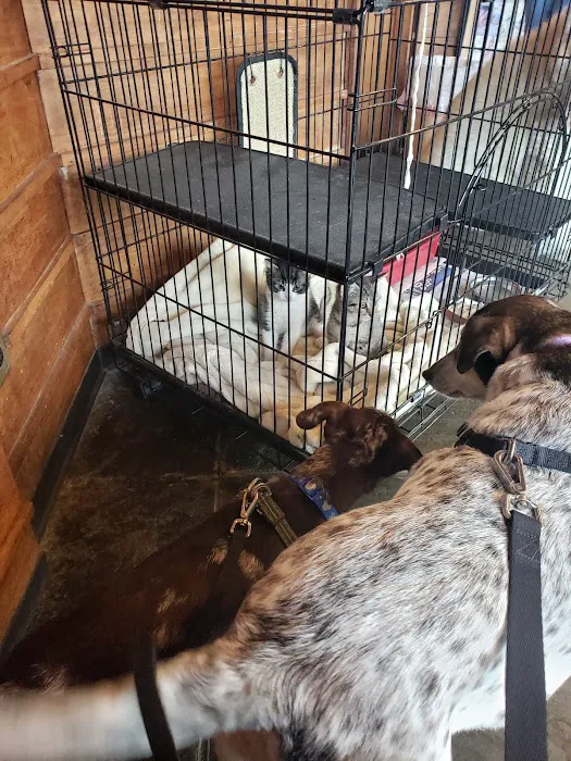Jefferson Animal Hospital 2