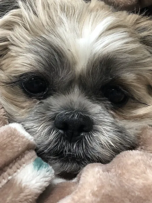 Jefferson Animal Hospital 7