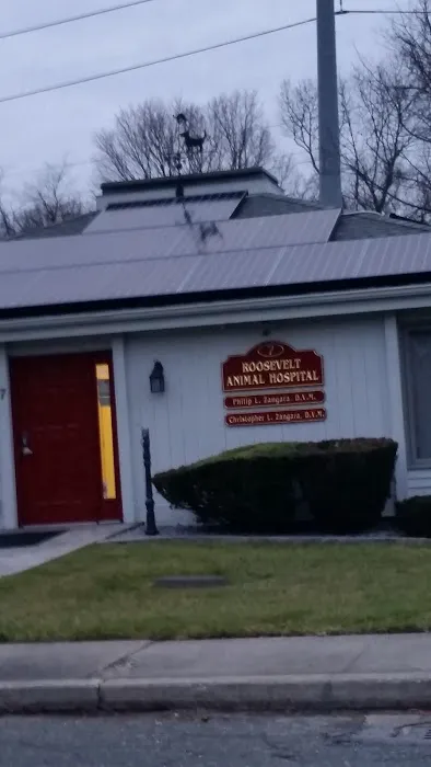 Roosevelt Animal Hospital 9